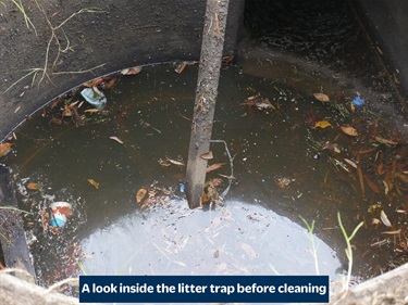 A look inside the litter trap before cleaning.