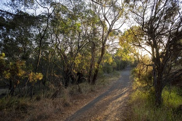 The Ridgeline Trail is a community trail that connects us to nature, to each other, to Country and culture.