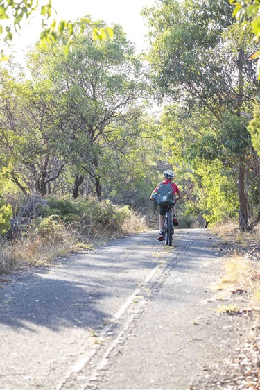 The Ridgeline Trail is a community trail that connects us to nature, to each other, to Country and culture.