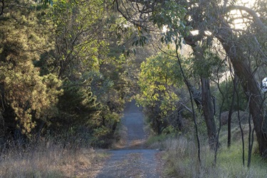 The Ridgeline Trail is a community trail that connects us to nature, to each other, to Country and culture.