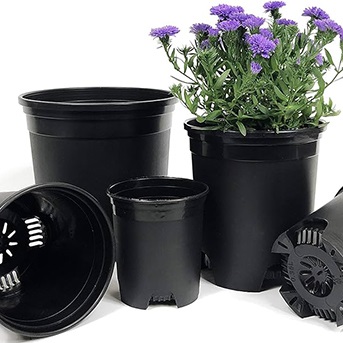 black-pots.jpg