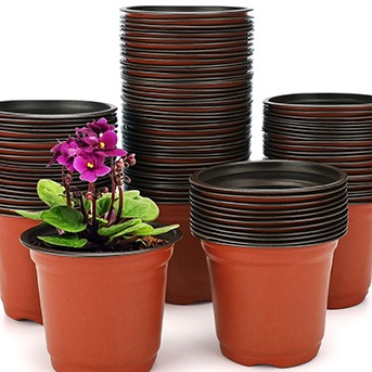 coloured-pots.jpg