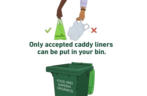 cartoon of two hands dropping two different bags into a kerbside bin with the words 