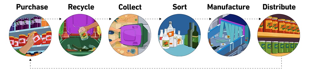 Life cycle of glass infographic: purchase, recycle, collect, sort, manufacture, distribute