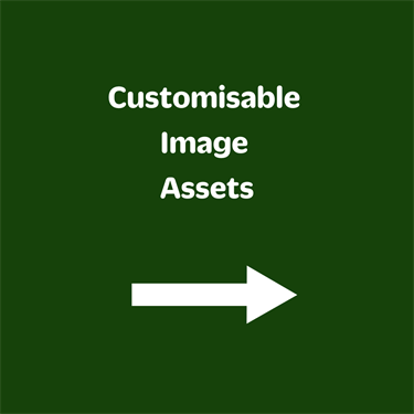 Customisable Assets