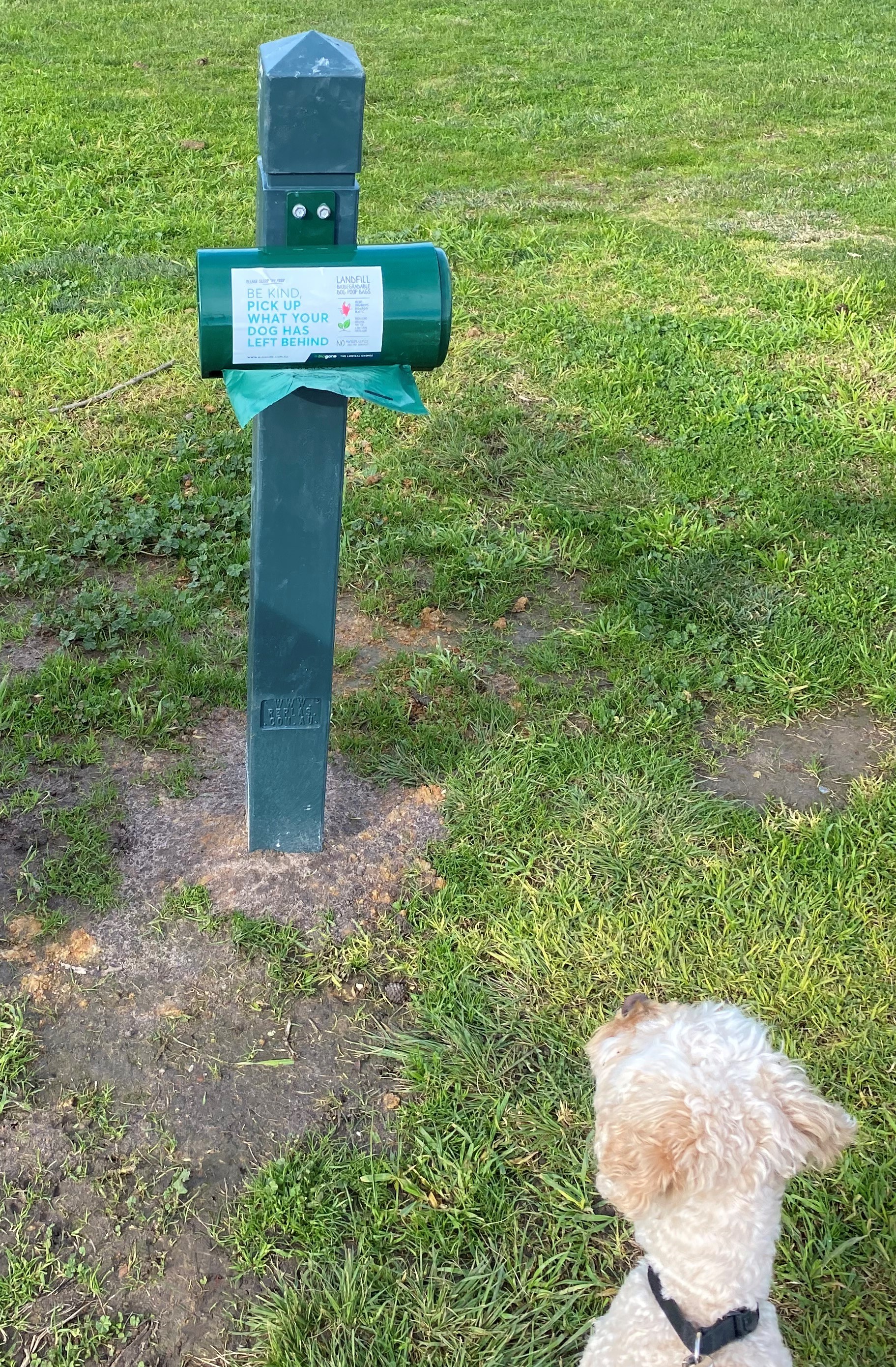 Dog Waste Bags at Recreation Reserves Trial Surf Coast Shire