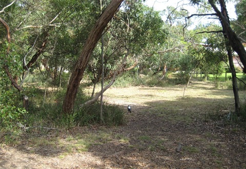 paringa_nature_reserve.jpg