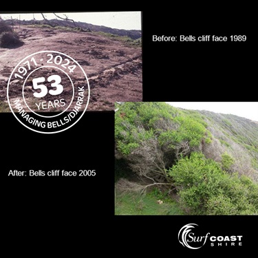 Bells Beach cliff revegetation 1989 to 2005
