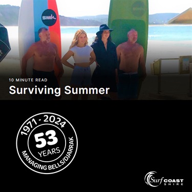 Cast of Surviving Summer