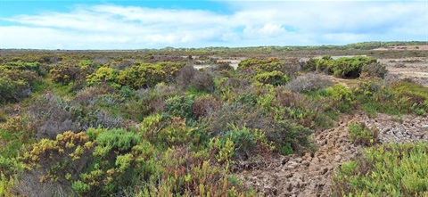 Karaaf Wetlands, February 2025.jpeg