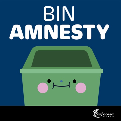 12 - Bin Amnesty tile.jpg