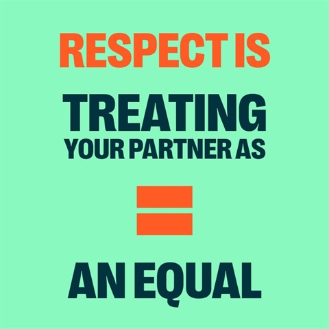 Respect is treating your partner as an equal.jpg